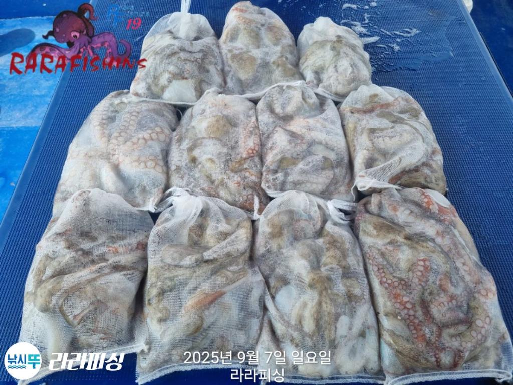 F27734306B.jpg