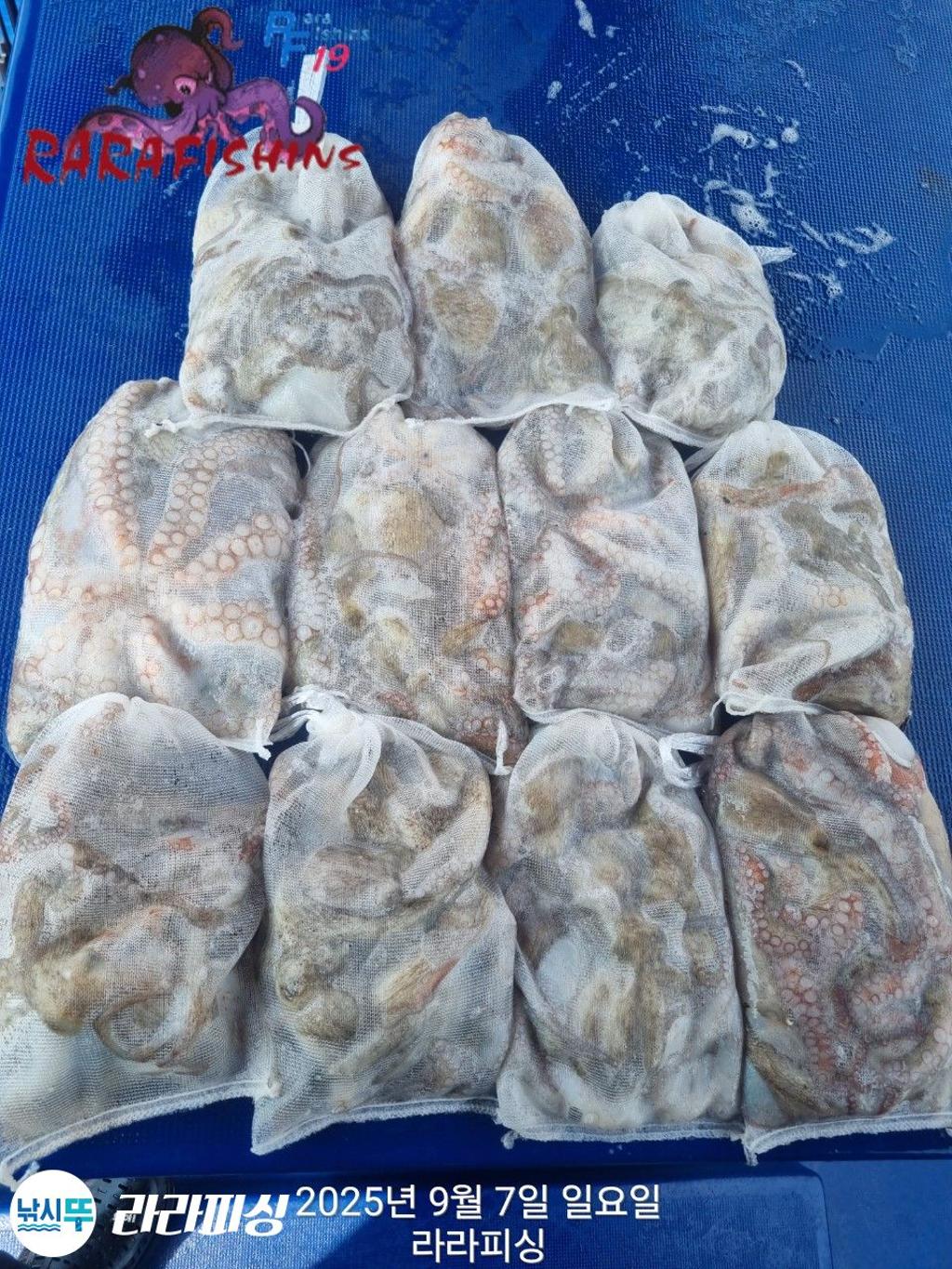 F27734484Y.jpg