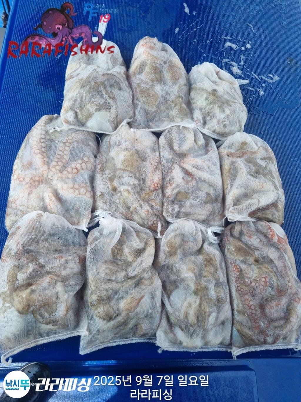 F27734492C.jpg