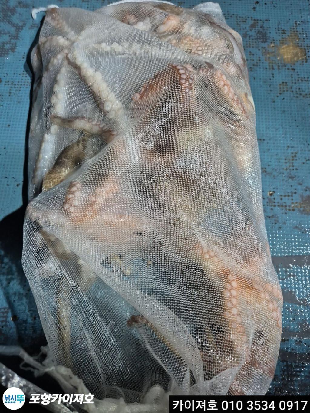 낚시뚜,기타 (직접입력),영일만항,포항카이져호,낚시뚜28