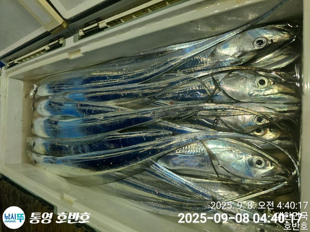 F2773637R4.jpg