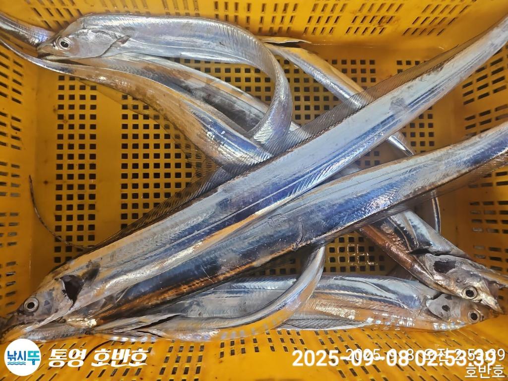 F2773644UB.jpg