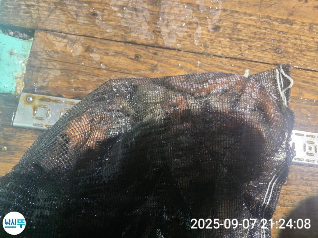 F27736833H.jpg