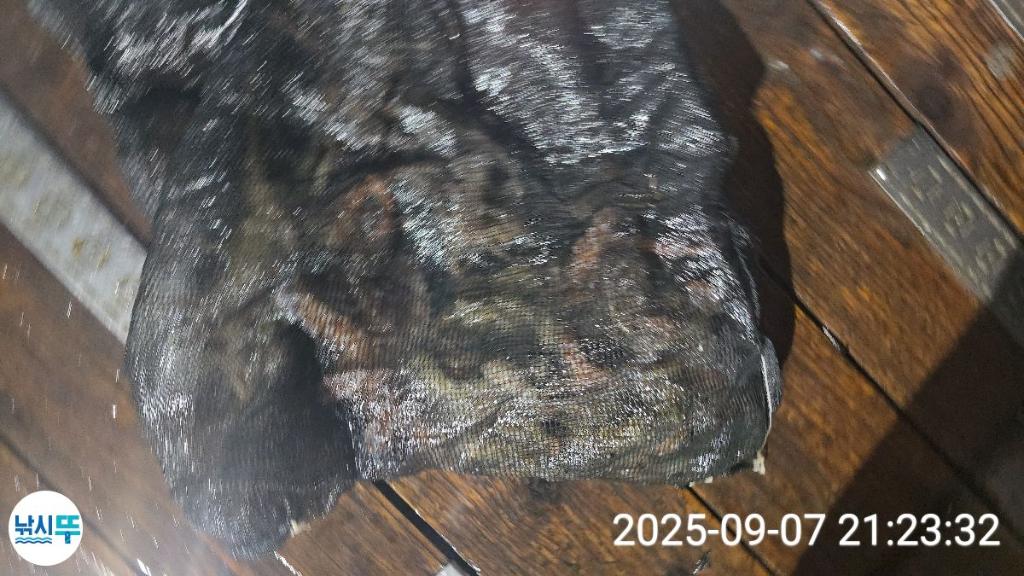 F27736875A.jpg