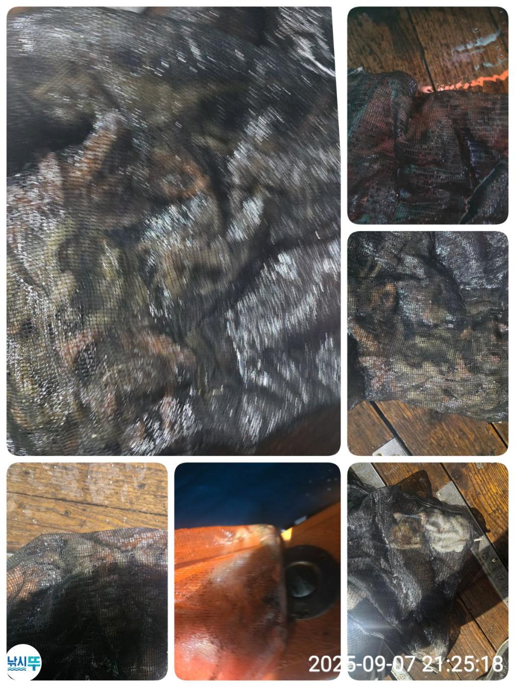 F2773696KT.jpg