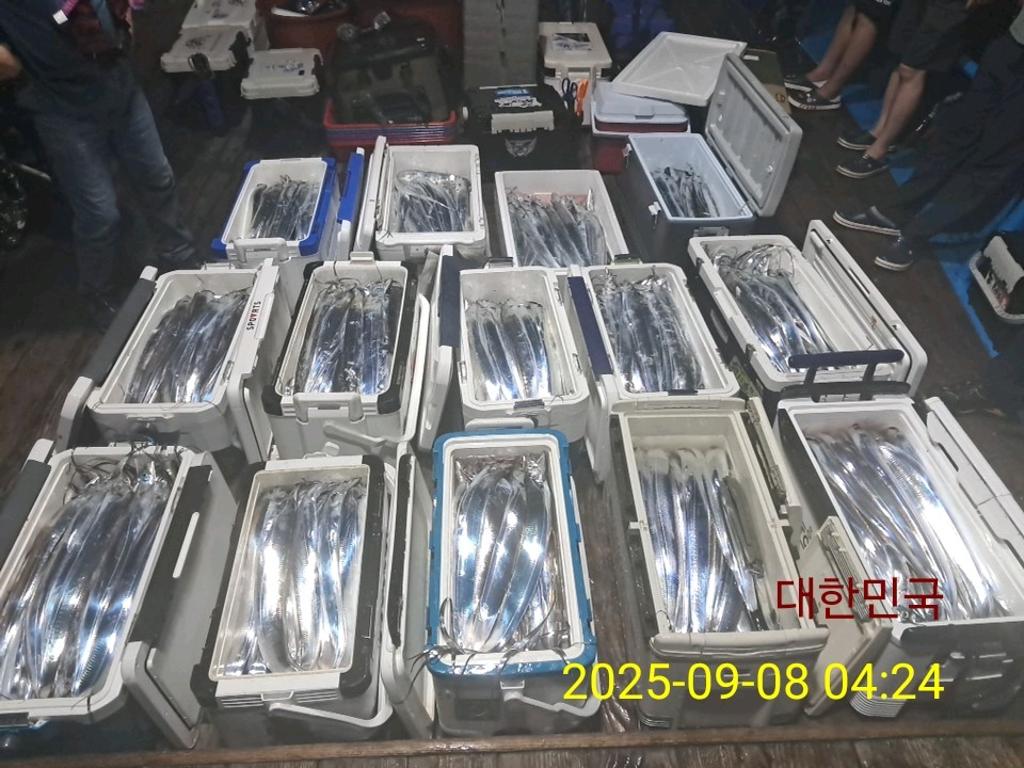 갈치, 삼포대교낚시, 낚시뚜