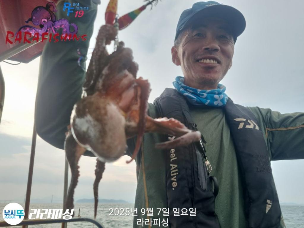 낚시뚜,돌문어,속천항(진해),라라피싱,낚시뚜1