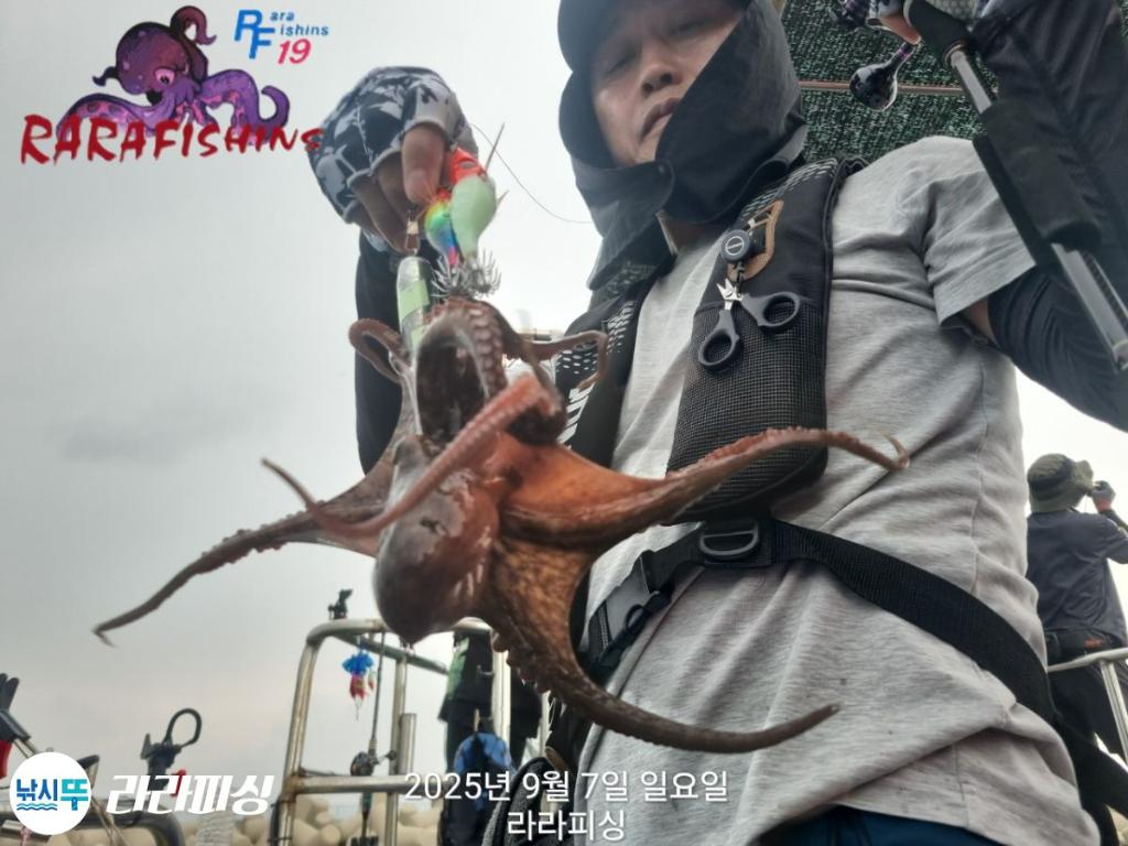 낚시뚜,돌문어,속천항(진해),라라피싱,낚시뚜15