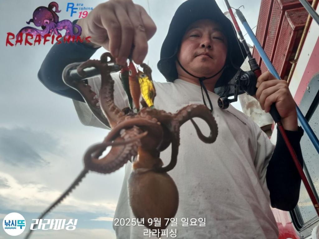 낚시뚜,돌문어,속천항(진해),라라피싱,낚시뚜12