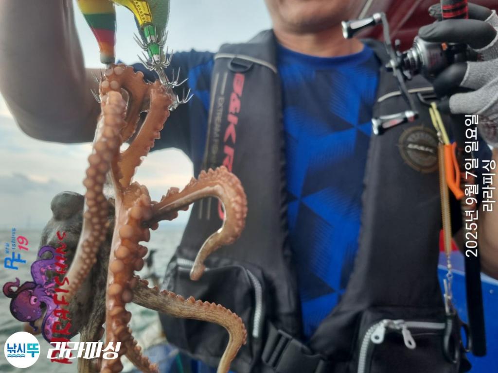 낚시뚜,돌문어,속천항(진해),라라피싱,낚시뚜11