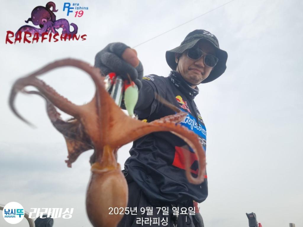 낚시뚜,돌문어,속천항(진해),라라피싱,낚시뚜9