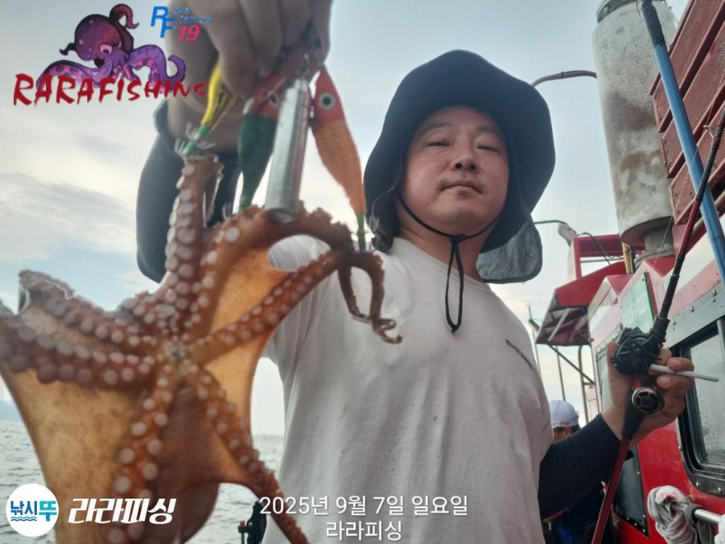 낚시뚜,돌문어,속천항(진해),라라피싱,낚시뚜8
