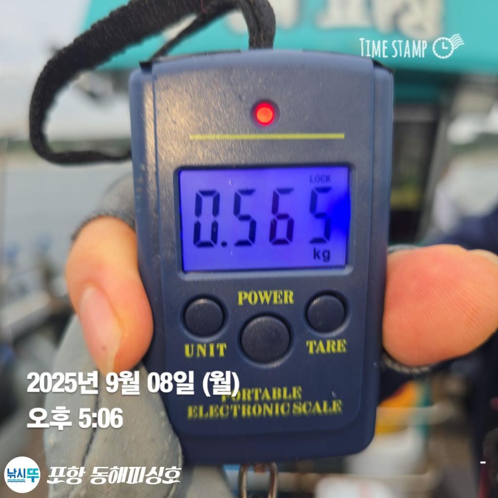 낚시뚜,돌문어,포항(운하관),포항 동해피싱호,낚시뚜1