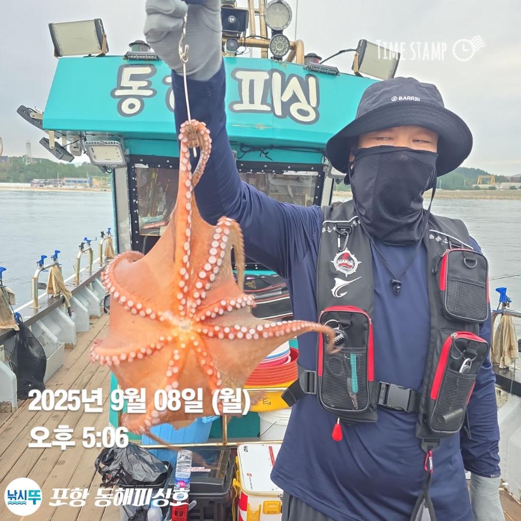 낚시뚜,돌문어,포항(운하관),포항 동해피싱호,낚시뚜0