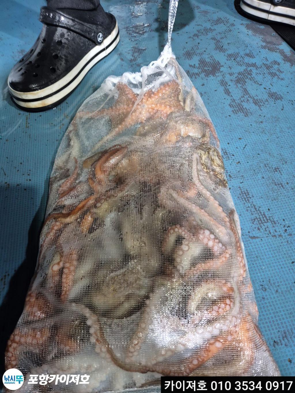 낚시뚜,기타 (직접입력),영일만항,포항카이져호,낚시뚜28