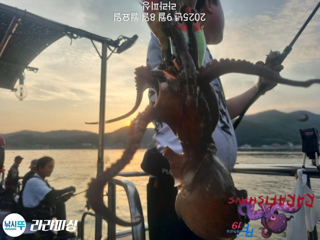 낚시뚜,돌문어,속천항(진해),라라피싱,낚시뚜14