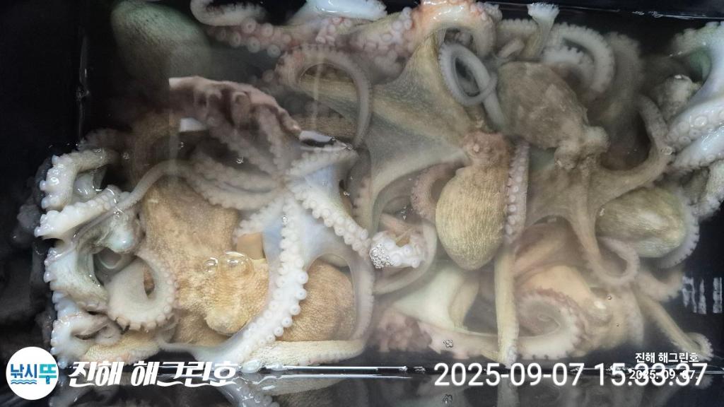 F2774756CR.jpg