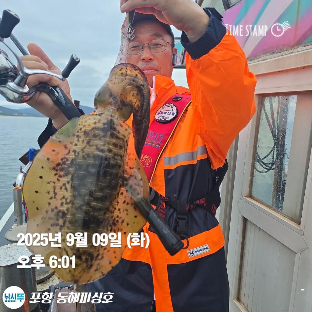 낚시뚜,돌문어,포항(운하관),포항 동해피싱호,낚시뚜5