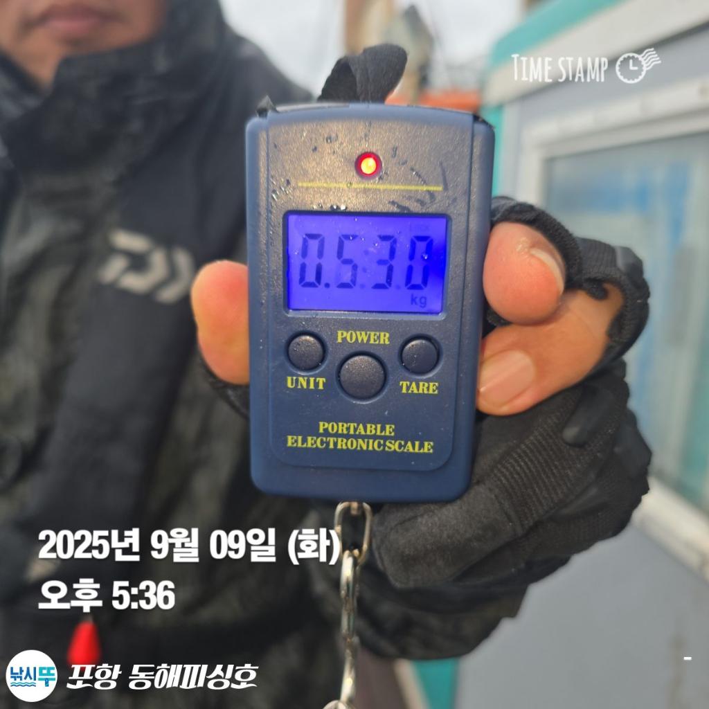 낚시뚜,돌문어,포항(운하관),포항 동해피싱호,낚시뚜1