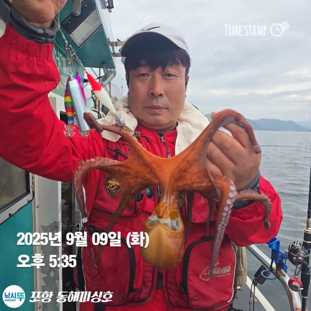 낚시뚜,돌문어,포항(운하관),포항 동해피싱호,낚시뚜0