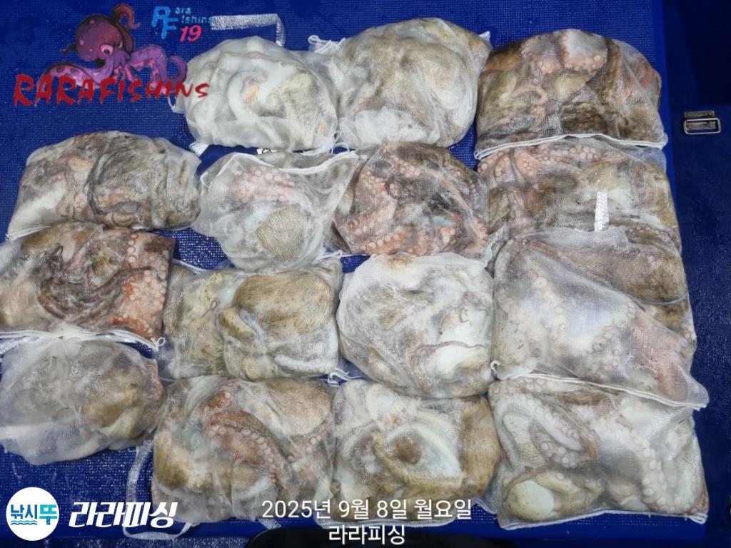 F2774949RA.jpg