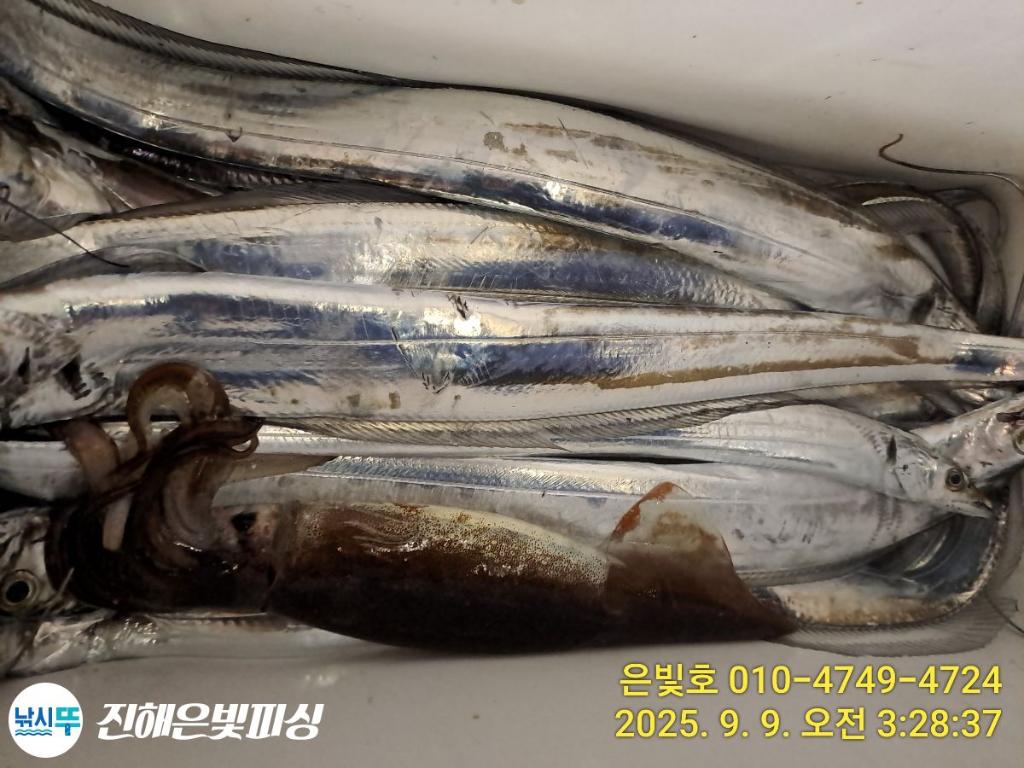 F277503683.jpg