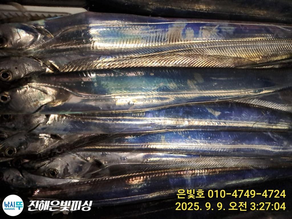 F2775037QD.jpg