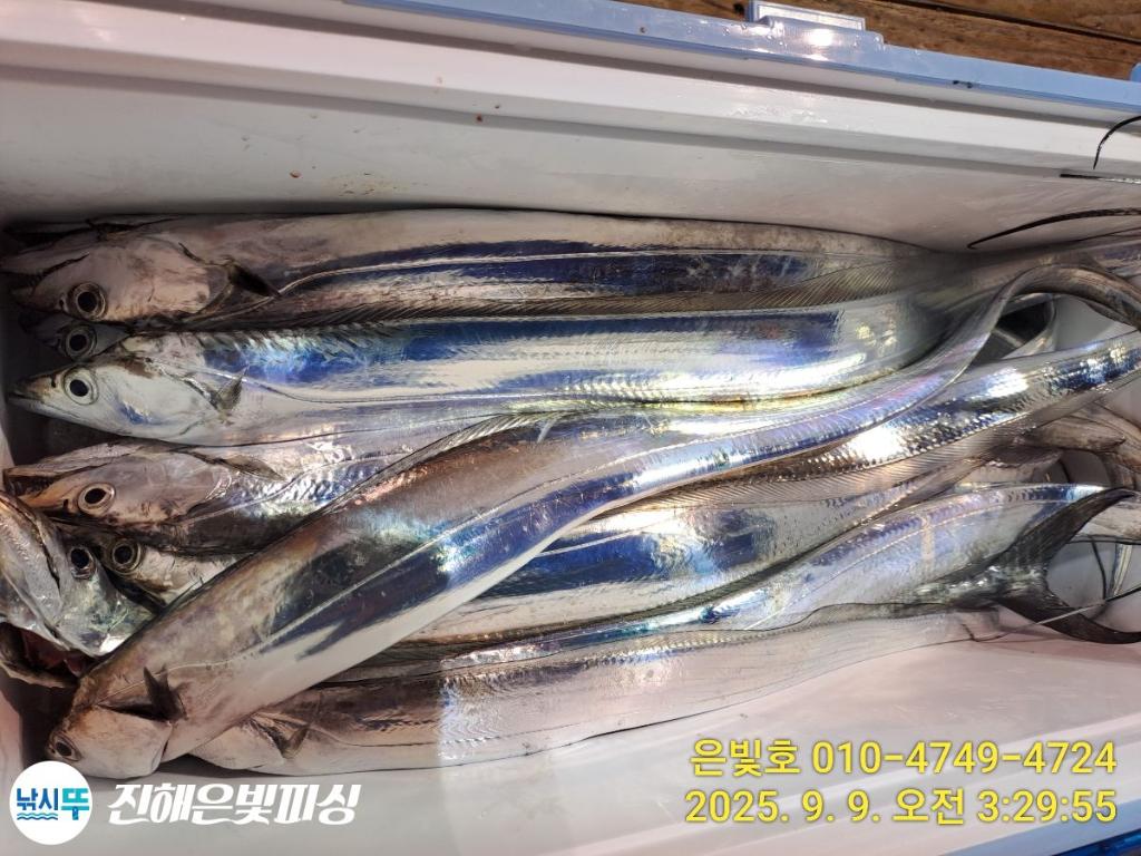 F2775040BZ.jpg