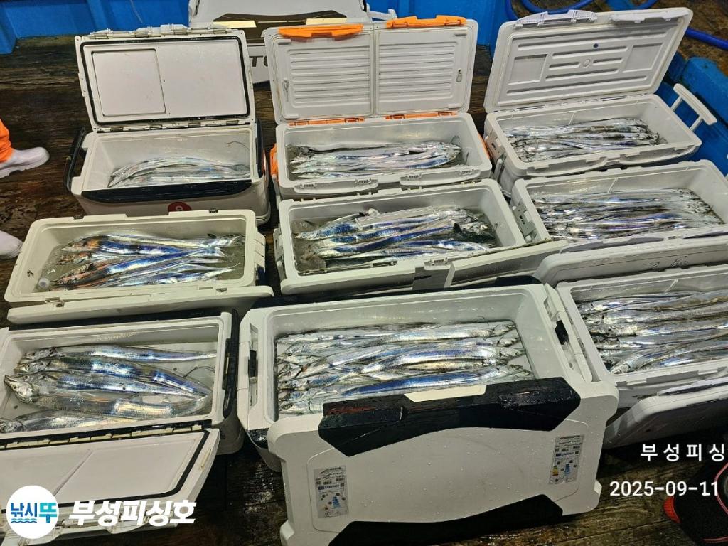 F2775087MW.jpg