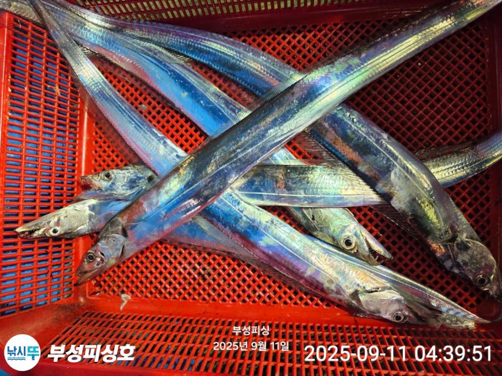 F2775095XE.jpg
