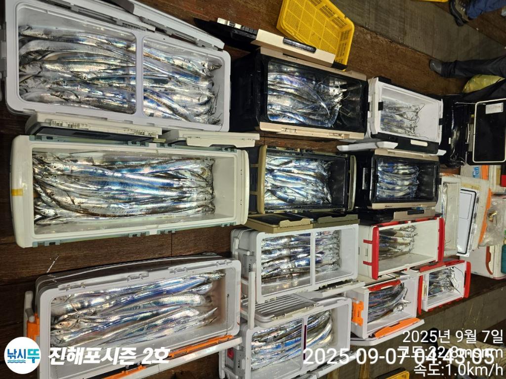 낚시뚜,갈치,진해행암항,진해포시즌 2호,낚시뚜14