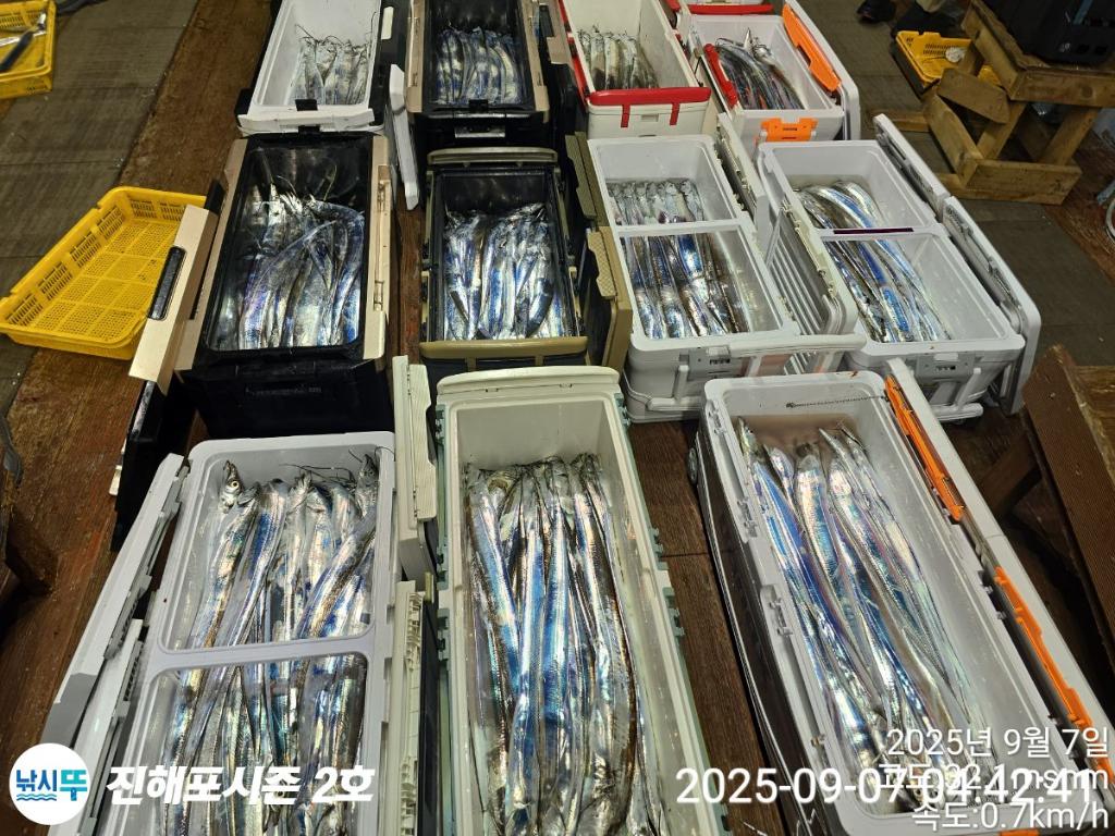 낚시뚜,갈치,진해행암항,진해포시즌 2호,낚시뚜2