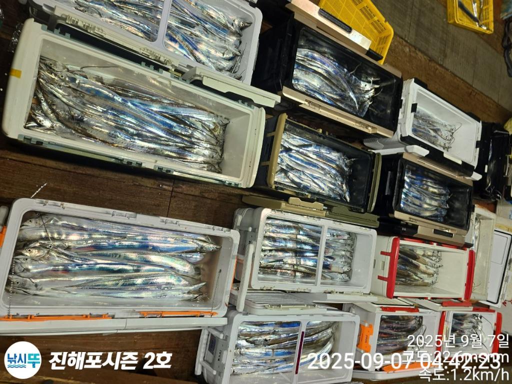 낚시뚜,갈치,진해행암항,진해포시즌 2호,낚시뚜1