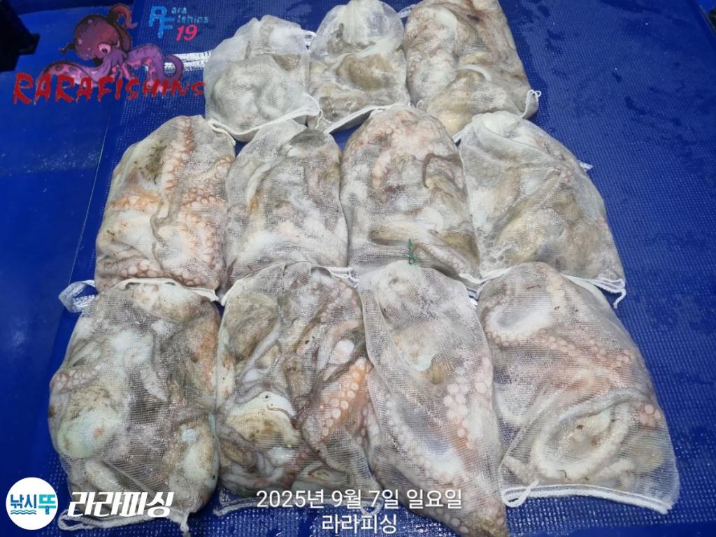 F2775271Z1.jpg