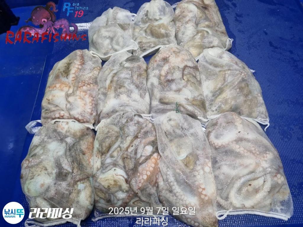 F2775272KR.jpg
