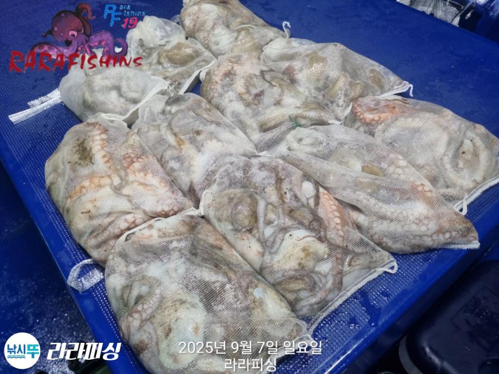 F2775274JY.jpg