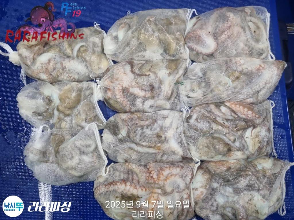 F27752752E.jpg