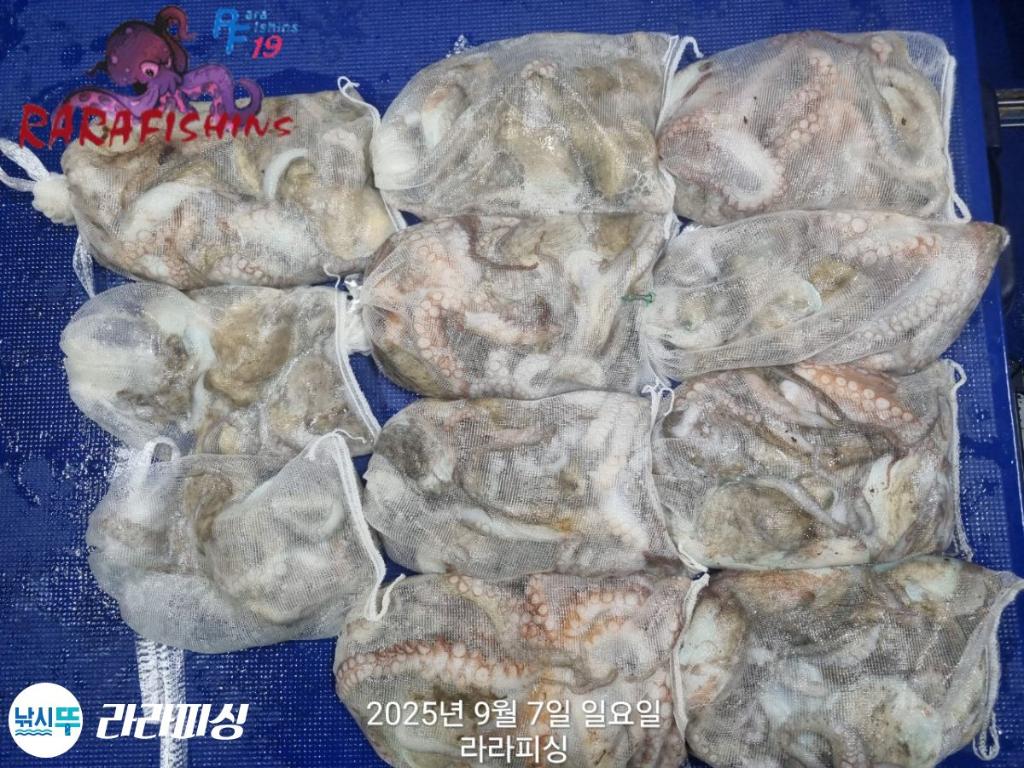 F2775276TC.jpg