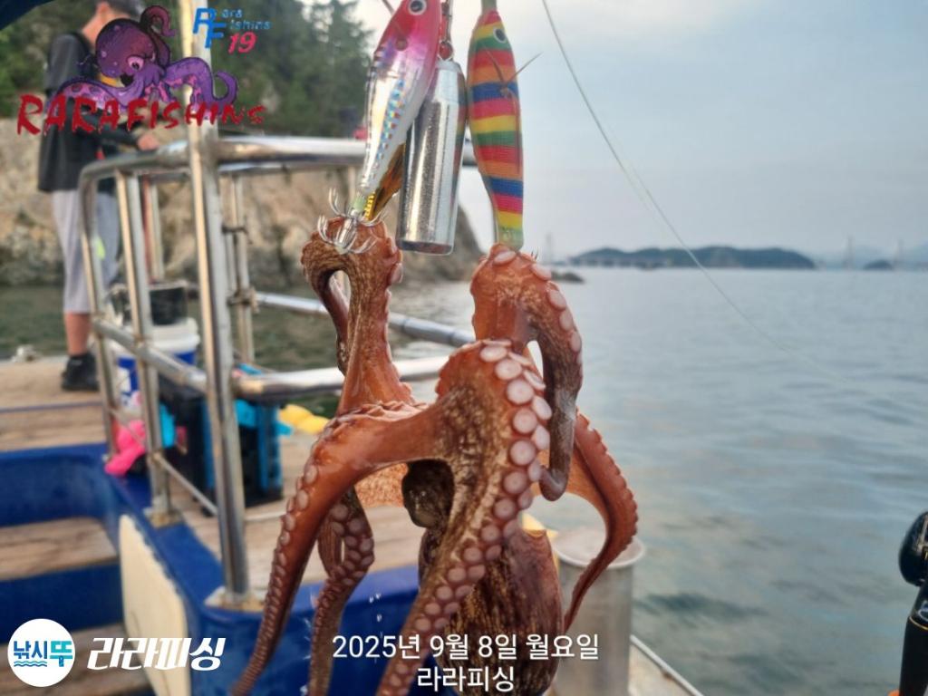 F27752887T.jpg
