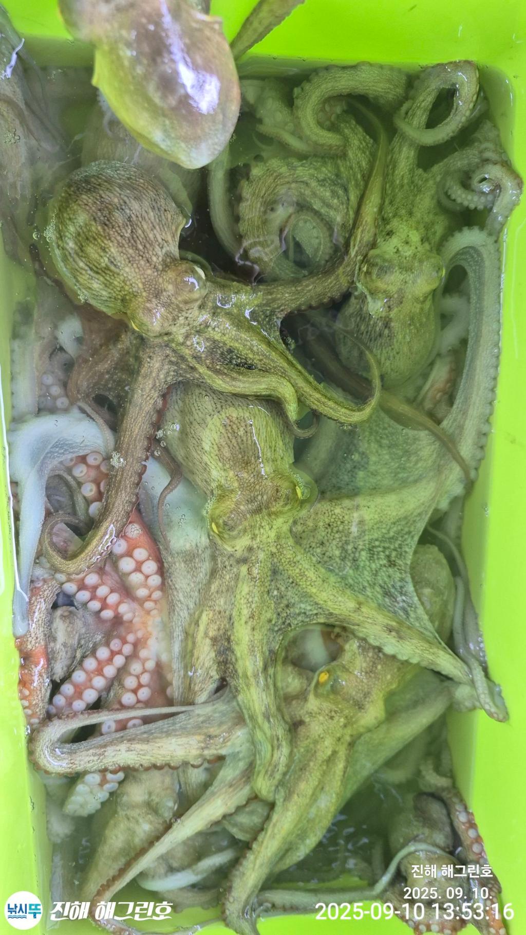 F2775353YI.jpg