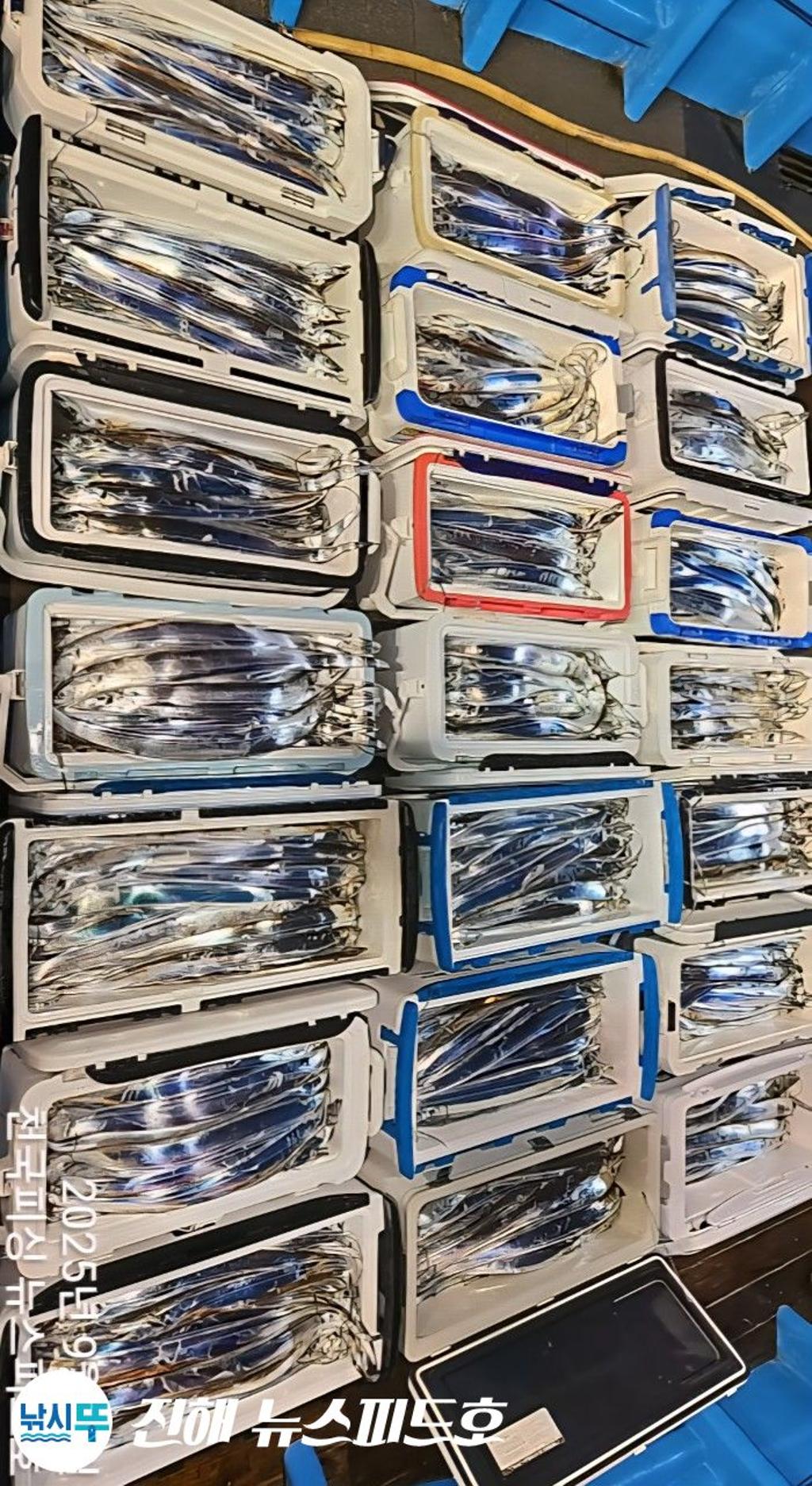 낚시뚜,,진해행암항,진해 뉴스피드호,낚시뚜25