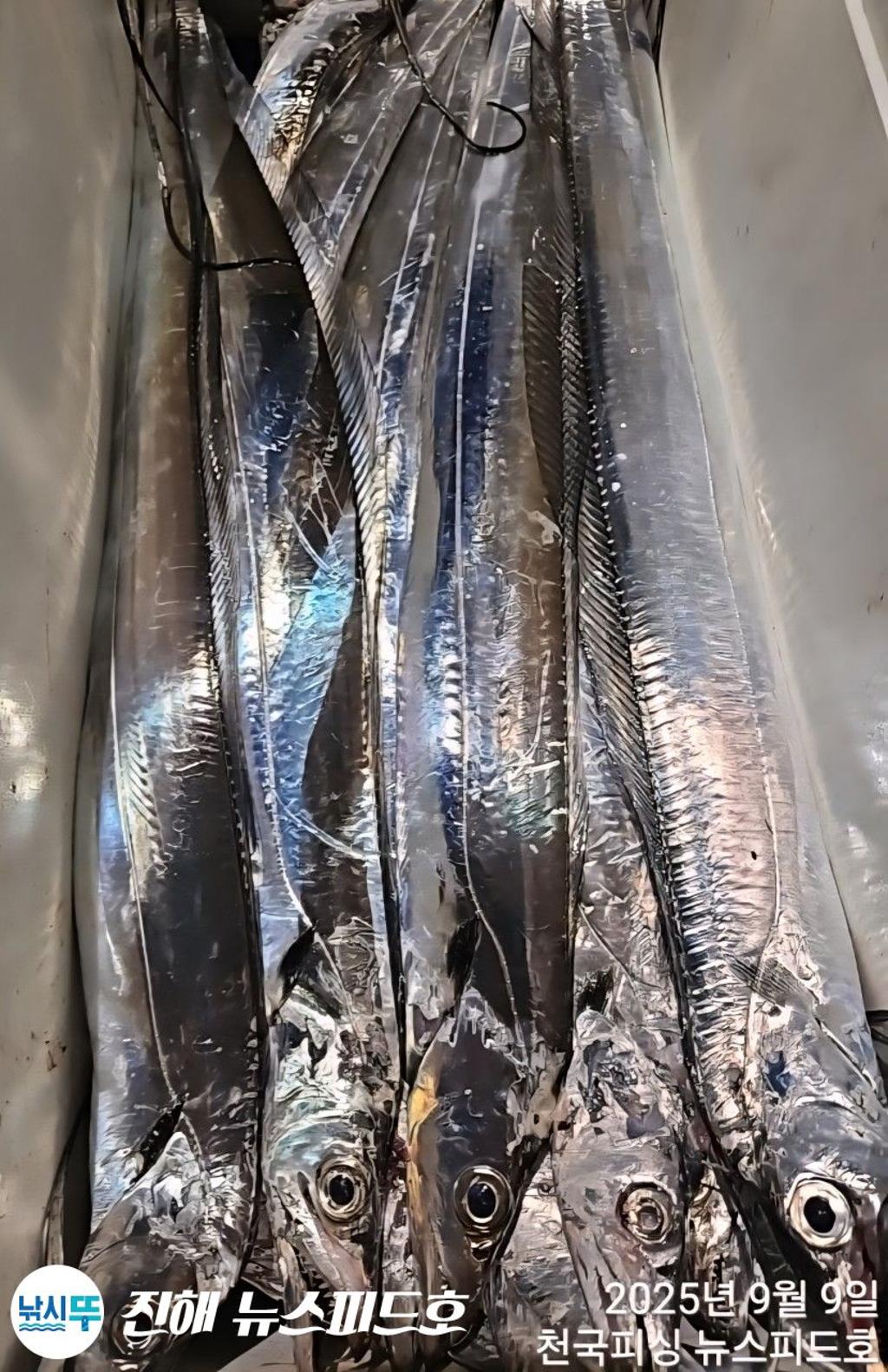 낚시뚜,,진해행암항,진해 뉴스피드호,낚시뚜13