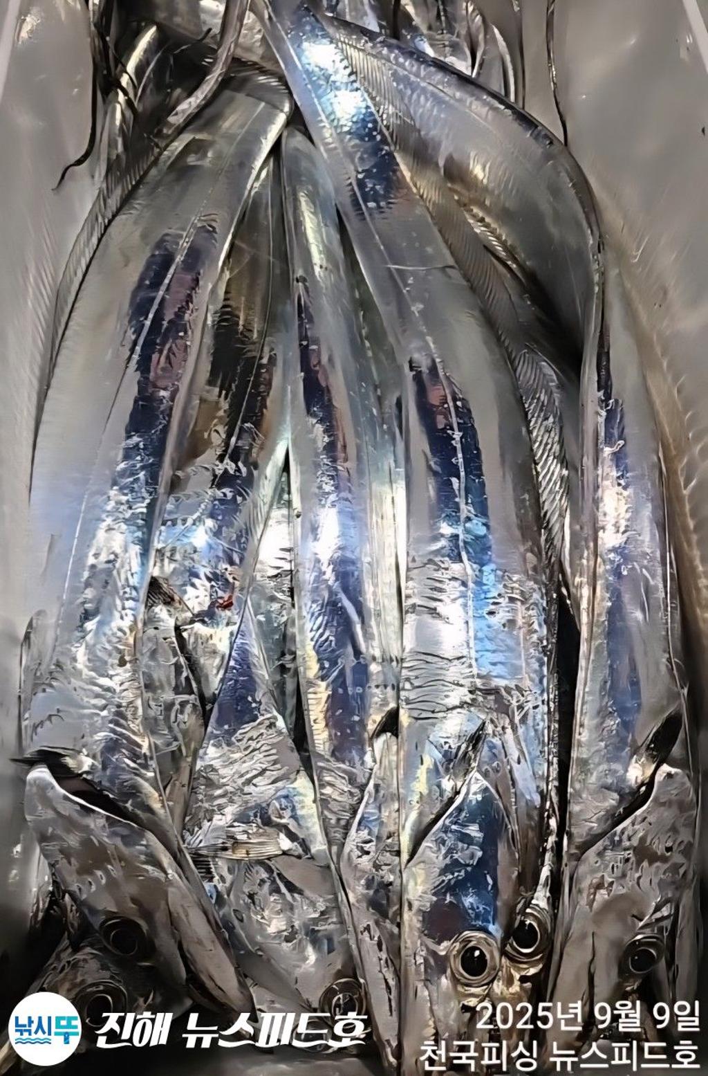 낚시뚜,,진해행암항,진해 뉴스피드호,낚시뚜12