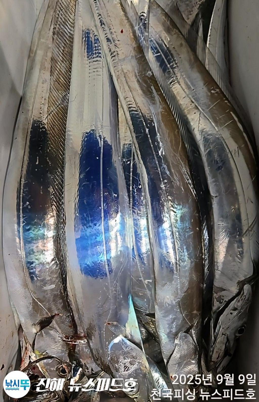 낚시뚜,,진해행암항,진해 뉴스피드호,낚시뚜9