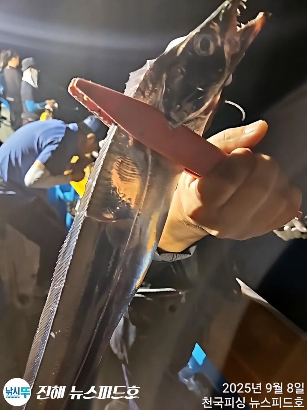 낚시뚜,,진해행암항,진해 뉴스피드호,낚시뚜2