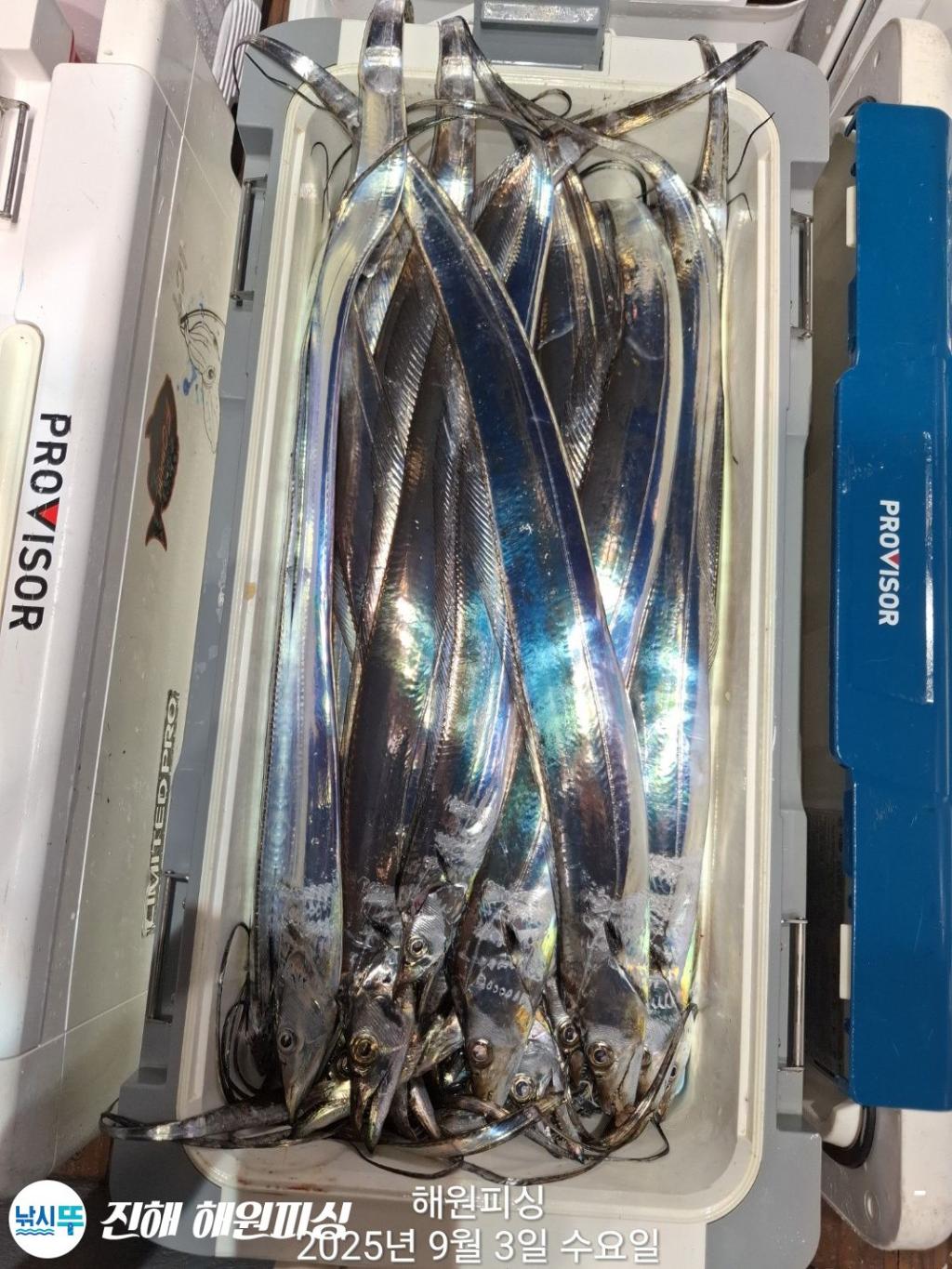 F2775430BD.jpg