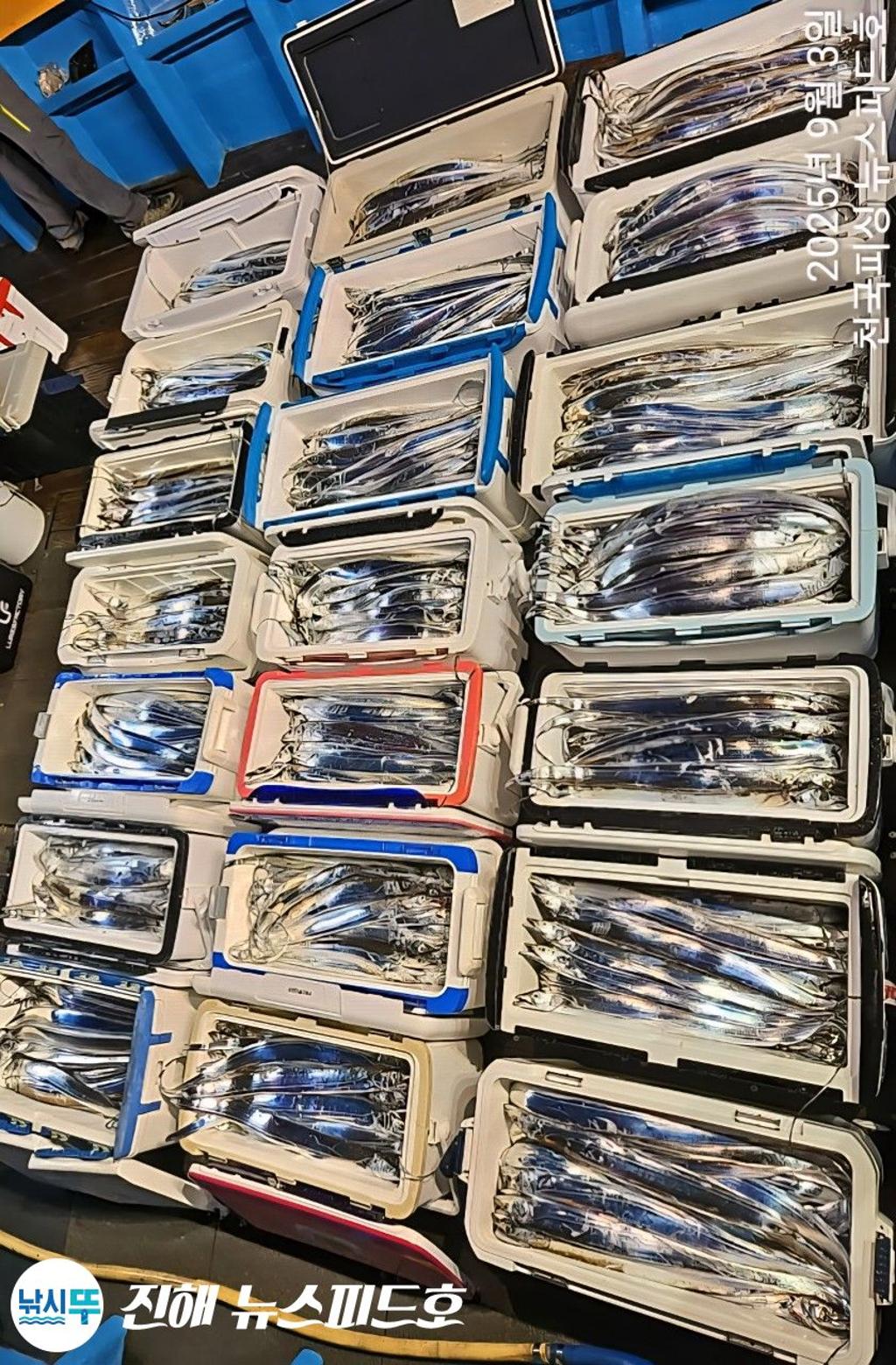 낚시뚜,,진해행암항,진해 뉴스피드호,낚시뚜6