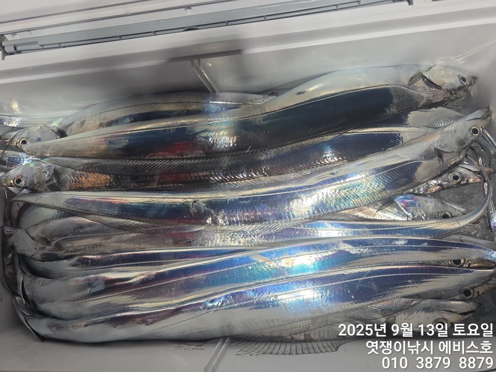 F2775953JW.jpg