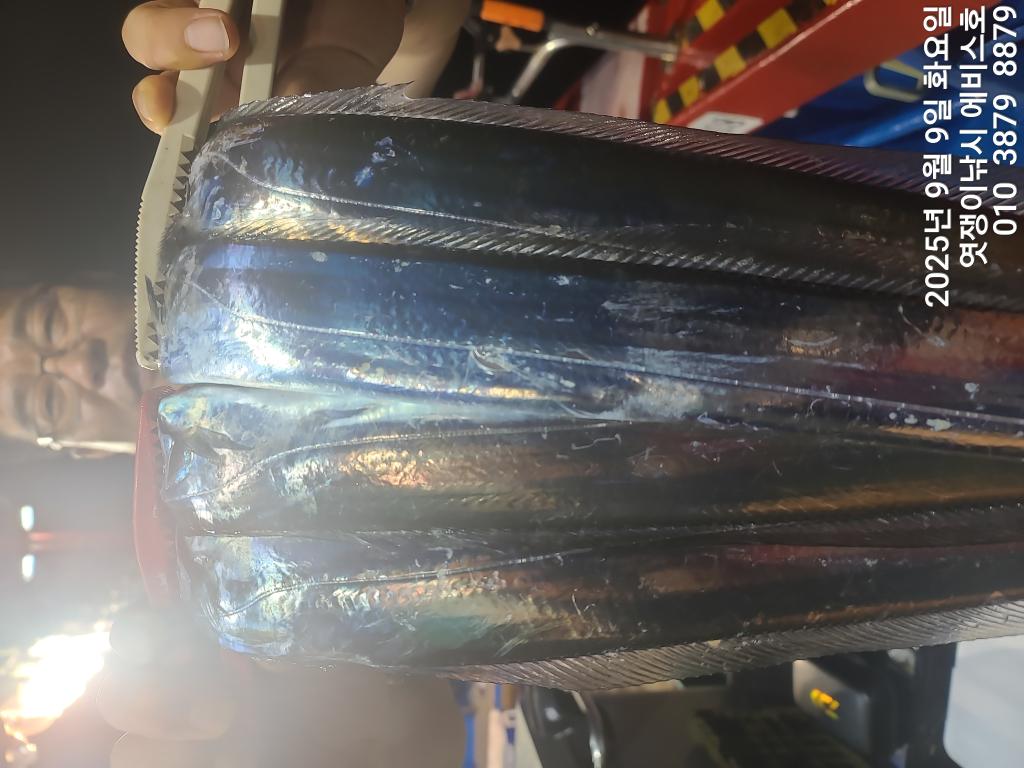 F27759626S.jpg