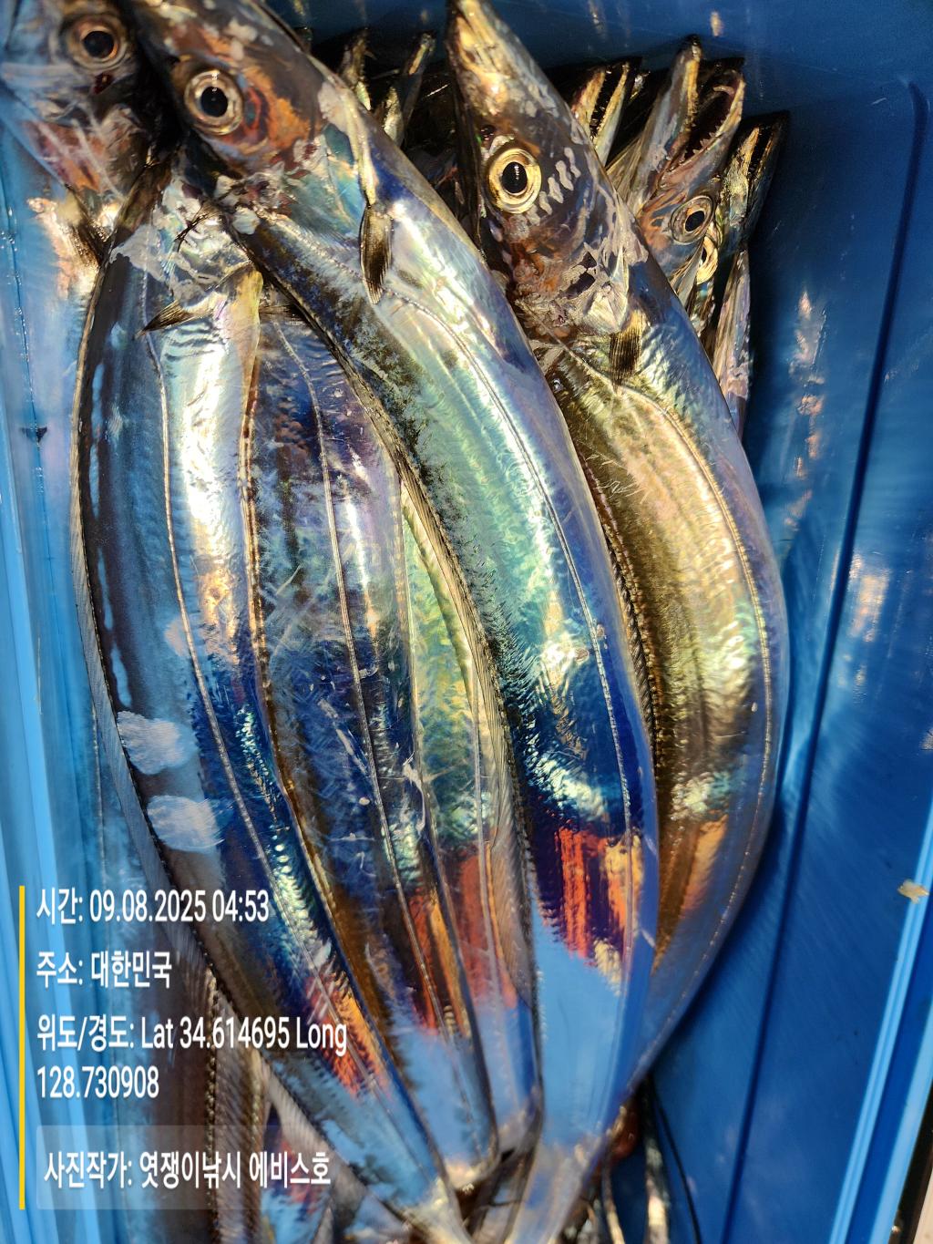 F2775979DV.jpg